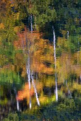 Gatineau Park, Ottawa