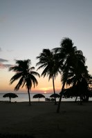 Tropical beach