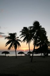 Tropical beach