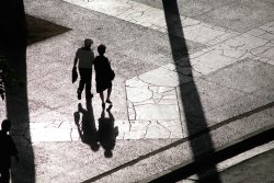 Morning Shadows, Havana