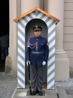 Castle guard