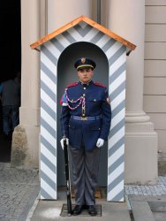 Castle guard