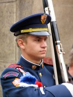 Castle Guard