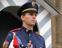 Castle Guard