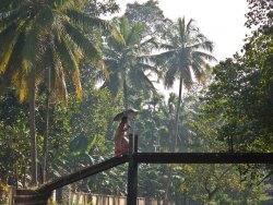 Kunarakom