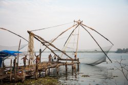 Chinese nets, Kochi