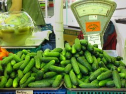 Riga Market