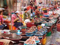 Seafood - Busan Market