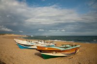 Fishing boats