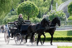 Catherine Palace