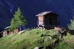 Loetchental