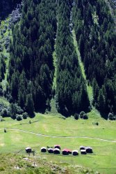 Loetchental