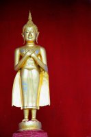 Buddha statue