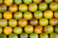Limes