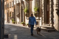 Cortona