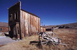 Bodie