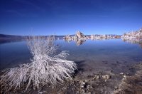 Mono Lake