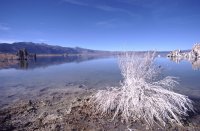 Mono Lake