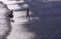 Santa Cruz beach