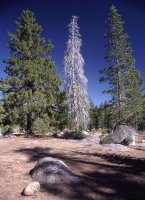 Lake Tahoe