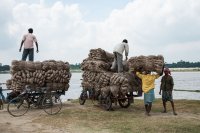 Loading Jute